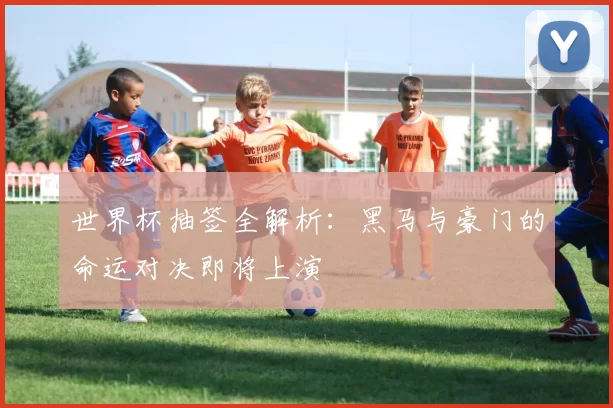 世界杯抽签全解析：黑马与豪门的命运对决即将上演