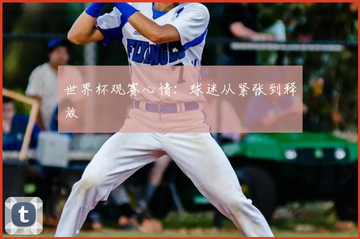 世界杯观赛心情:球迷从紧张到释放