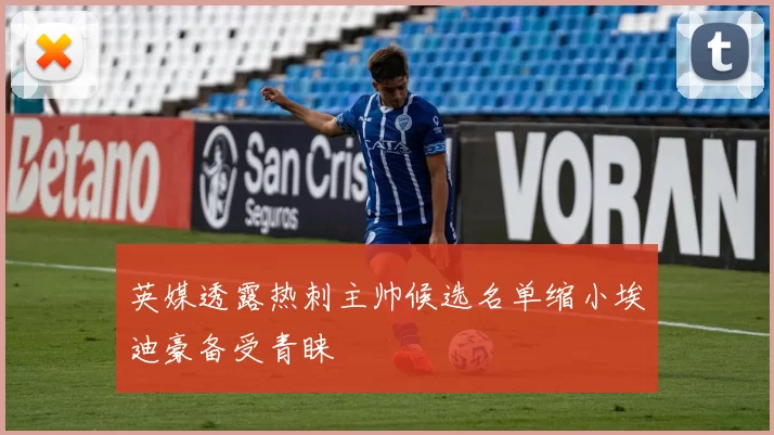 英媒透露热刺主帅候选名单缩小埃迪豪备受青睐