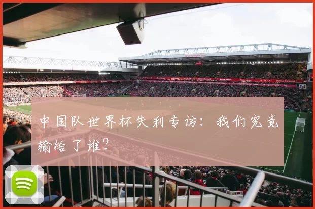 中国队世界杯失利专访:我们究竟输给了谁?