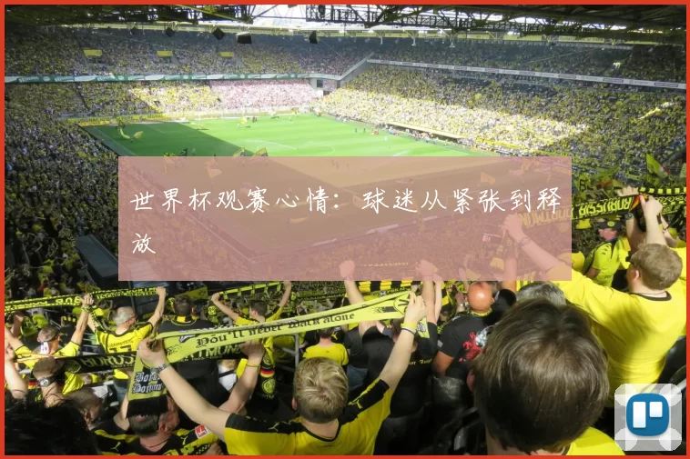 世界杯观赛心情：球迷从紧张到释放