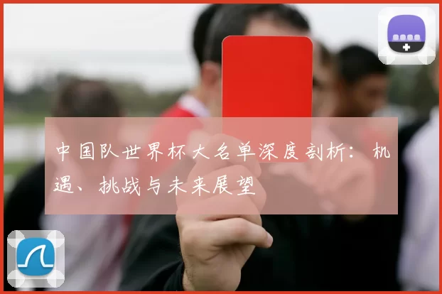 中国队世界杯大名单深度剖析:机遇、挑战与未来展望