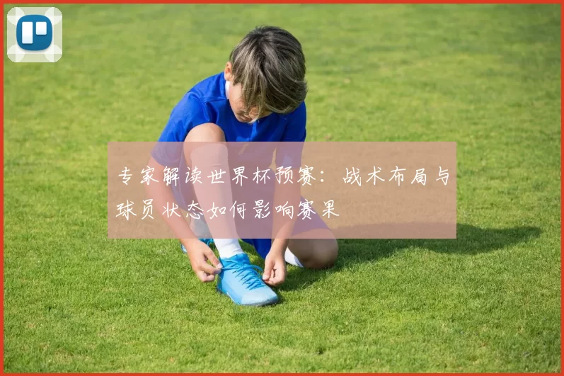 专家解读世界杯预赛：战术布局与球员状态如何影响赛果