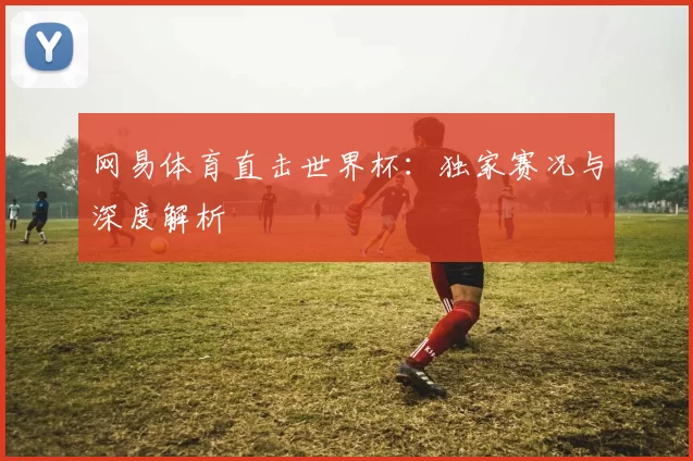 网易体育直击世界杯：独家赛况与深度解析