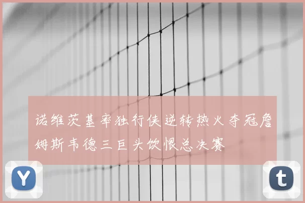 诺维茨基率独行侠逆转热火夺冠詹姆斯韦德三巨头饮恨总决赛