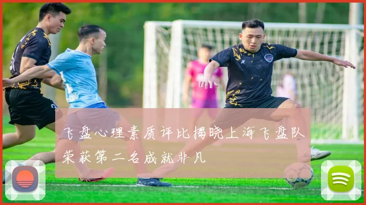 飞盘心理素质评比揭晓上海飞盘队荣获第二名成就非凡
