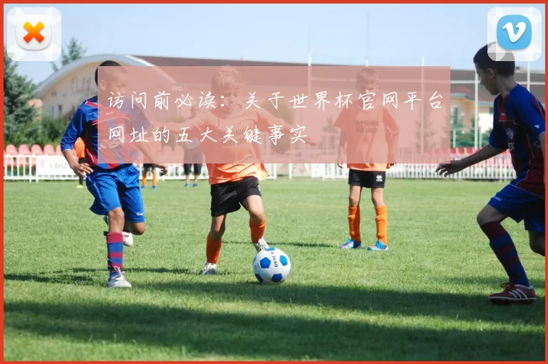 访问前必读:关于世界杯官网平台网址的五大关键事实
