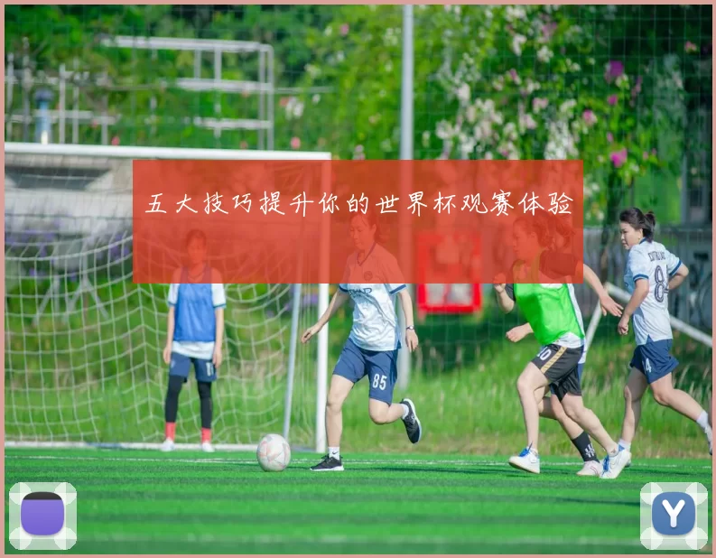 五大技巧提升你的世界杯观赛体验