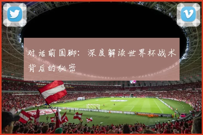 对话前国脚：深度解读世界杯战术背后的秘密