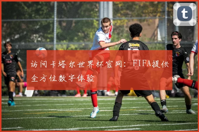 访问卡塔尔世界杯官网:FIFA提供全方位数字体验