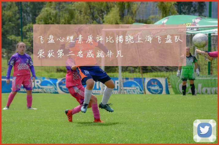飞盘心理素质评比揭晓上海飞盘队荣获第二名成就非凡